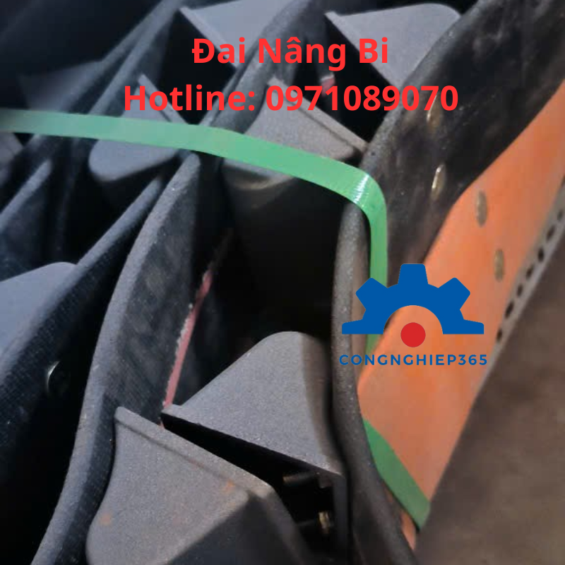 Đai Nâng Bi